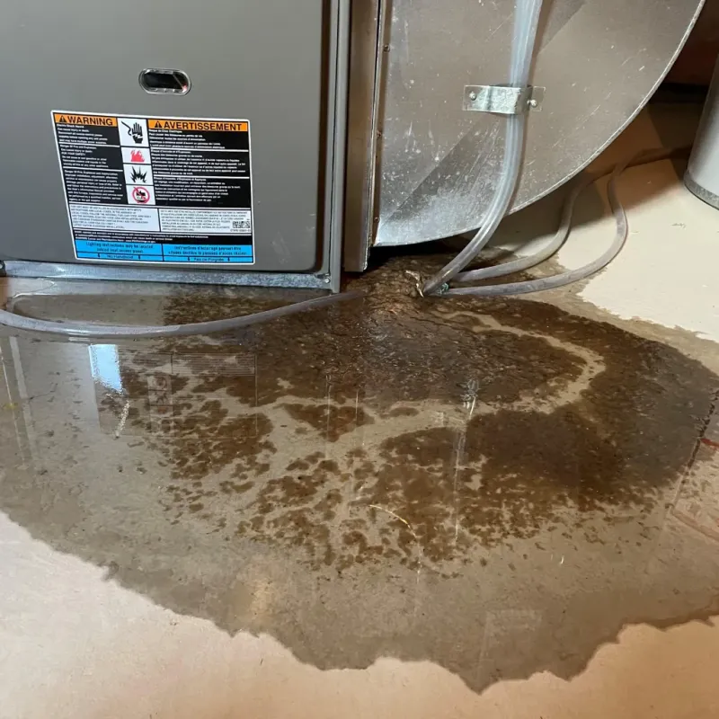 Appliance Leak Cleanup in Forest City, NC